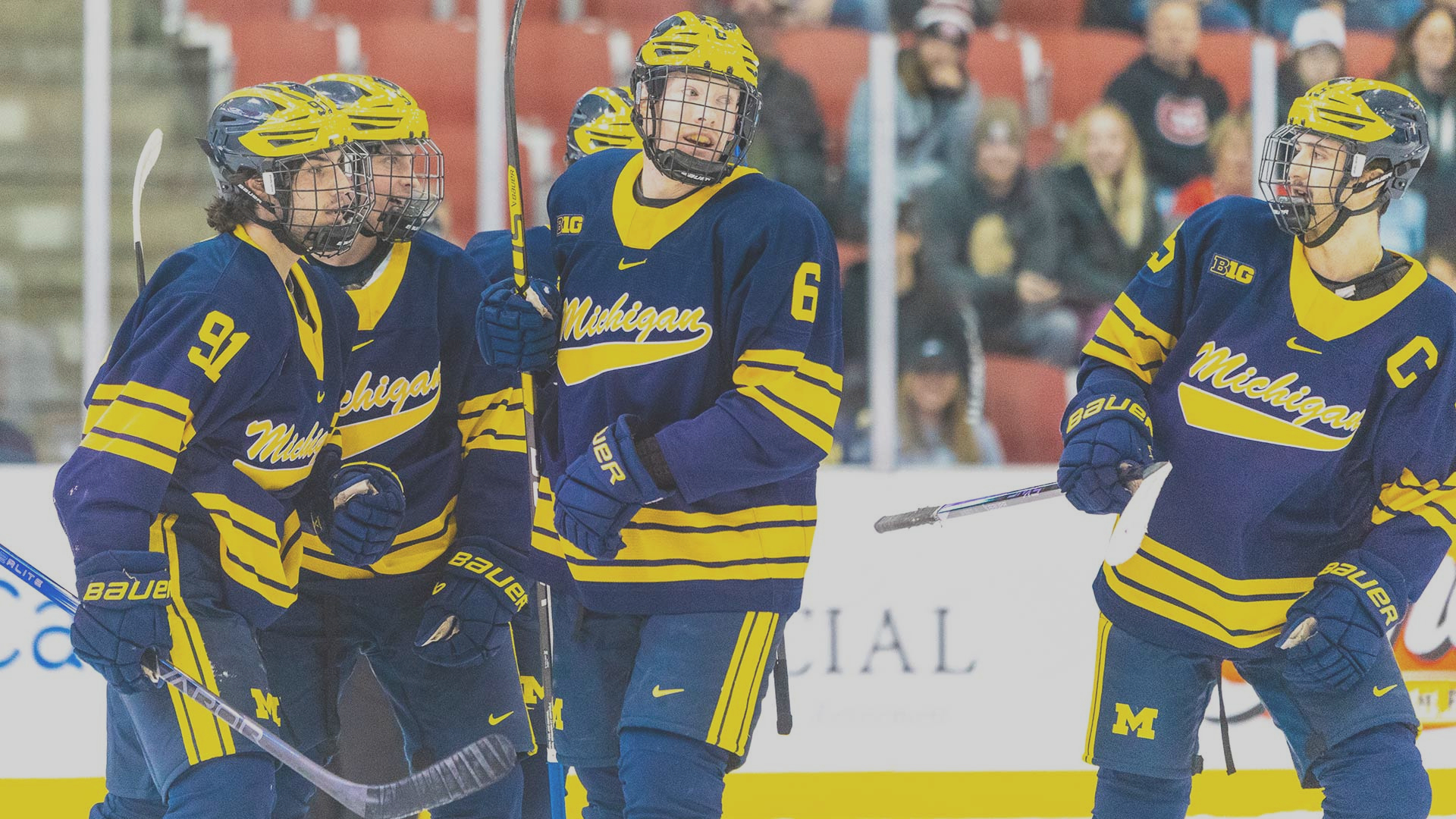 Michigan Men's Hockey